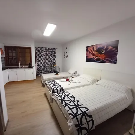 Maoli イコー・デ・ロス・ビノス