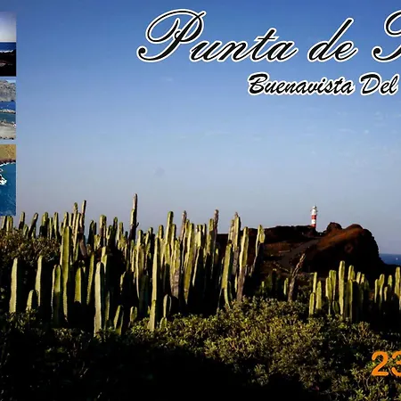 Maoli * Icod De Los Vinos