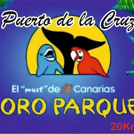 Maoli * Icod de los Vinos