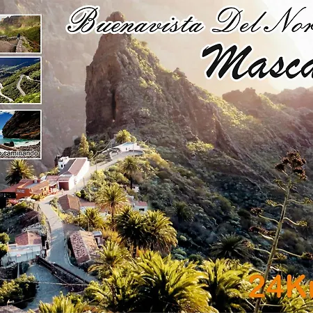 Apartman Maoli Icod de los Vinos