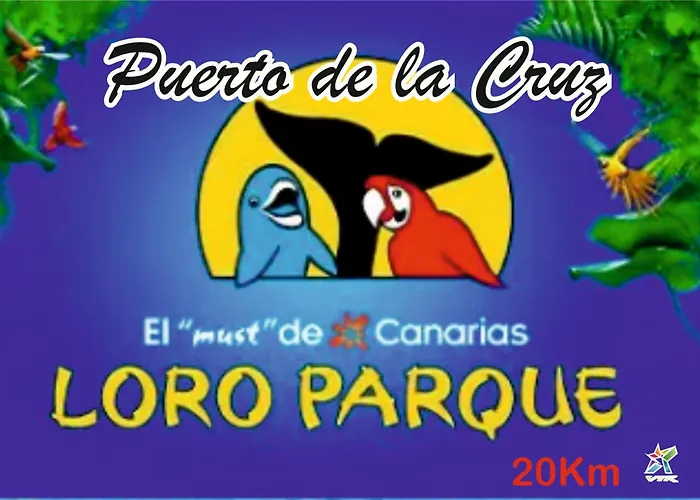 Maoli * Icod De Los Vinos