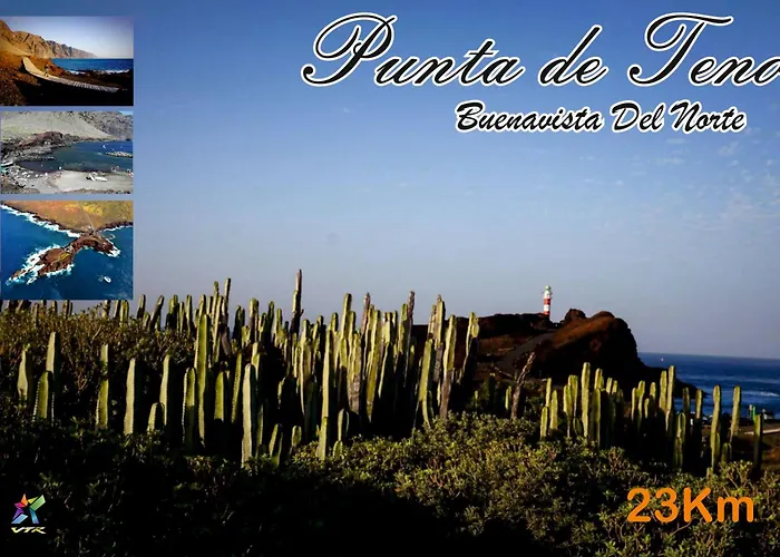 Maoli * Icod De Los Vinos