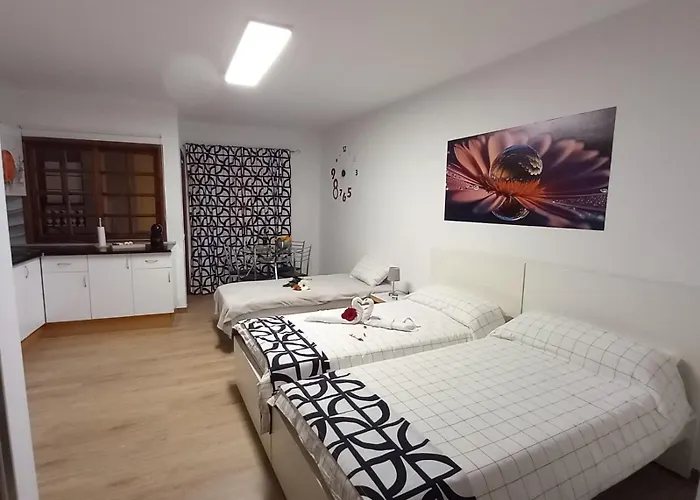 Maoli 伊科德·德·洛斯·维诺斯