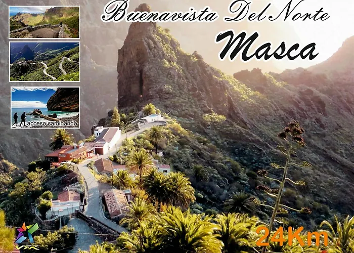 公寓 Maoli 伊科德·德·洛斯·维诺斯