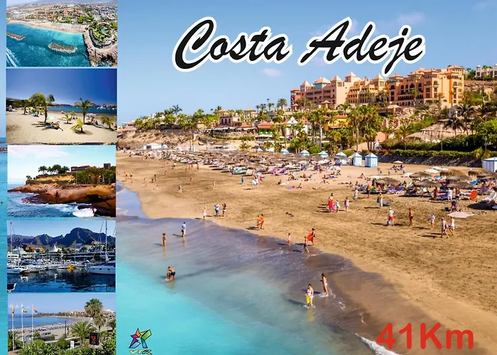 Maoli 伊科德·德·洛斯·维诺斯